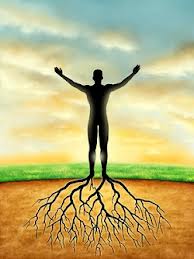 Growing on our Spiritual Journey